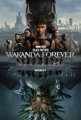 Black Panther Wakanda Forever 2022 Dub in Hindi  full movie download