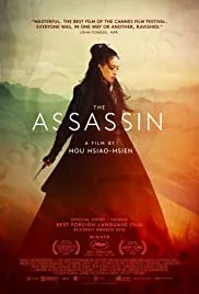 The Assassin 2015 Dub in Hindi full movie download