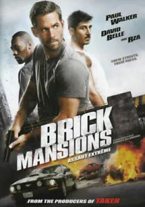 Brick Mansions 2014 Dub in Hindi  full movie download