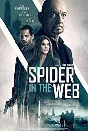Spider in the Web 2019 Hindi Dubbed full movie download